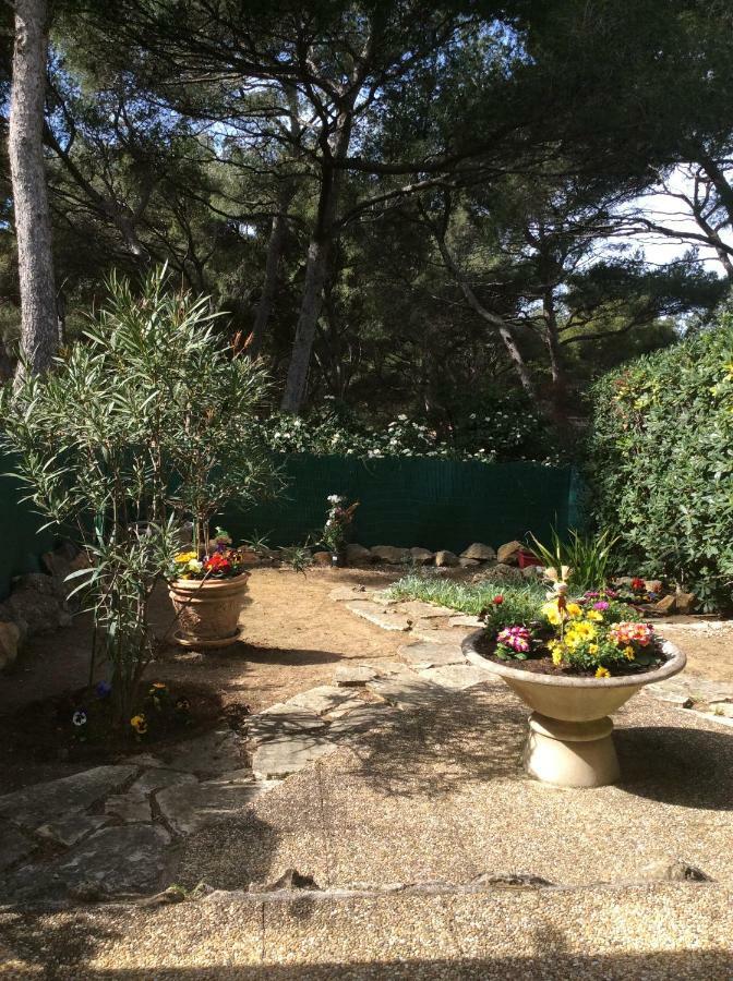 T2 Rez De Jardin 300M Plage De Beaucours Sanary Sur Mer 외부 사진